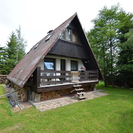 Nice Holiday Home In The Ore Mountains Only 500M From The Chairlift Лоучна-под-Клиновцем Экстерьер фото