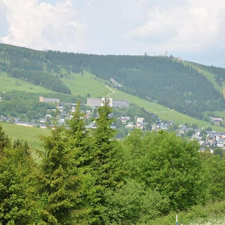 Nice Holiday Home In The Ore Mountains Only 500M From The Chairlift Лоучна-под-Клиновцем Экстерьер фото