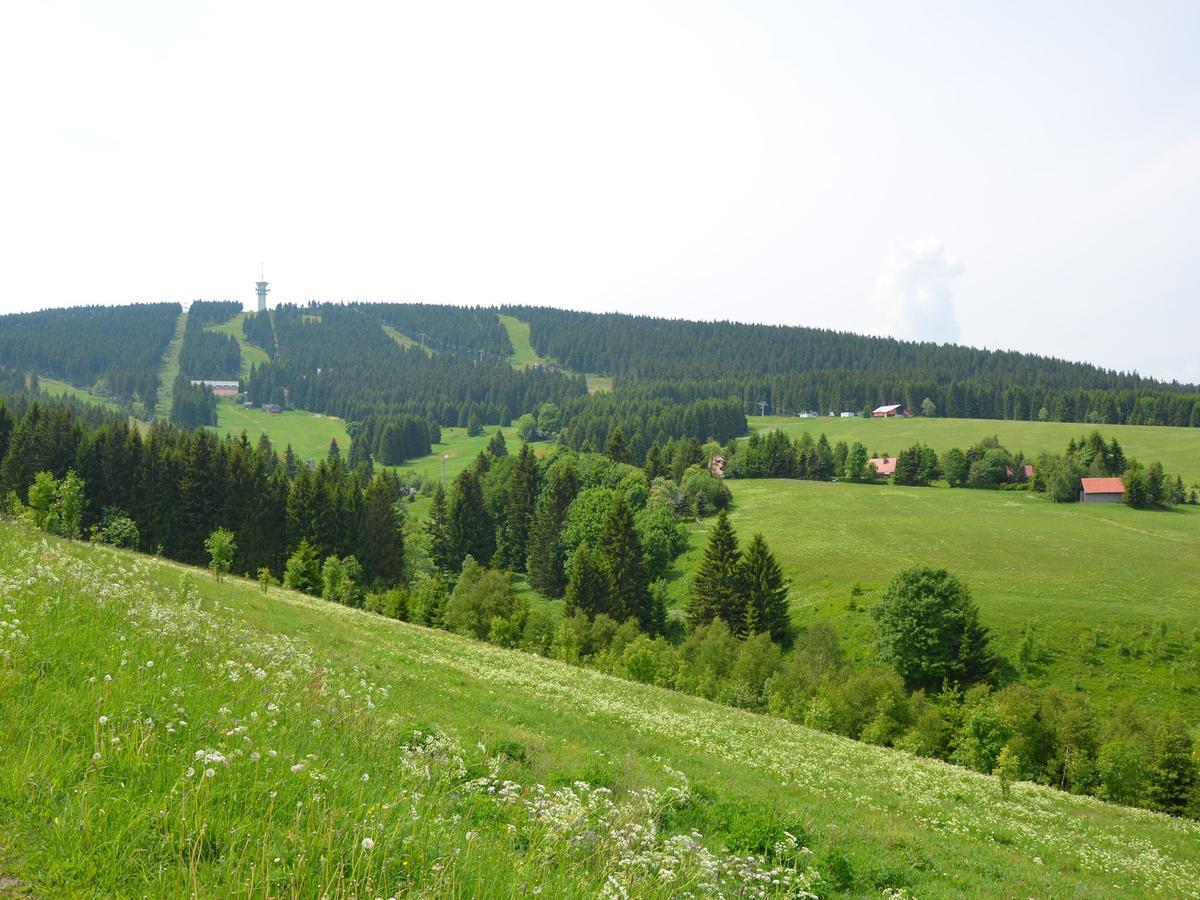 Nice Holiday Home In The Ore Mountains Only 500M From The Chairlift Лоучна-под-Клиновцем Экстерьер фото