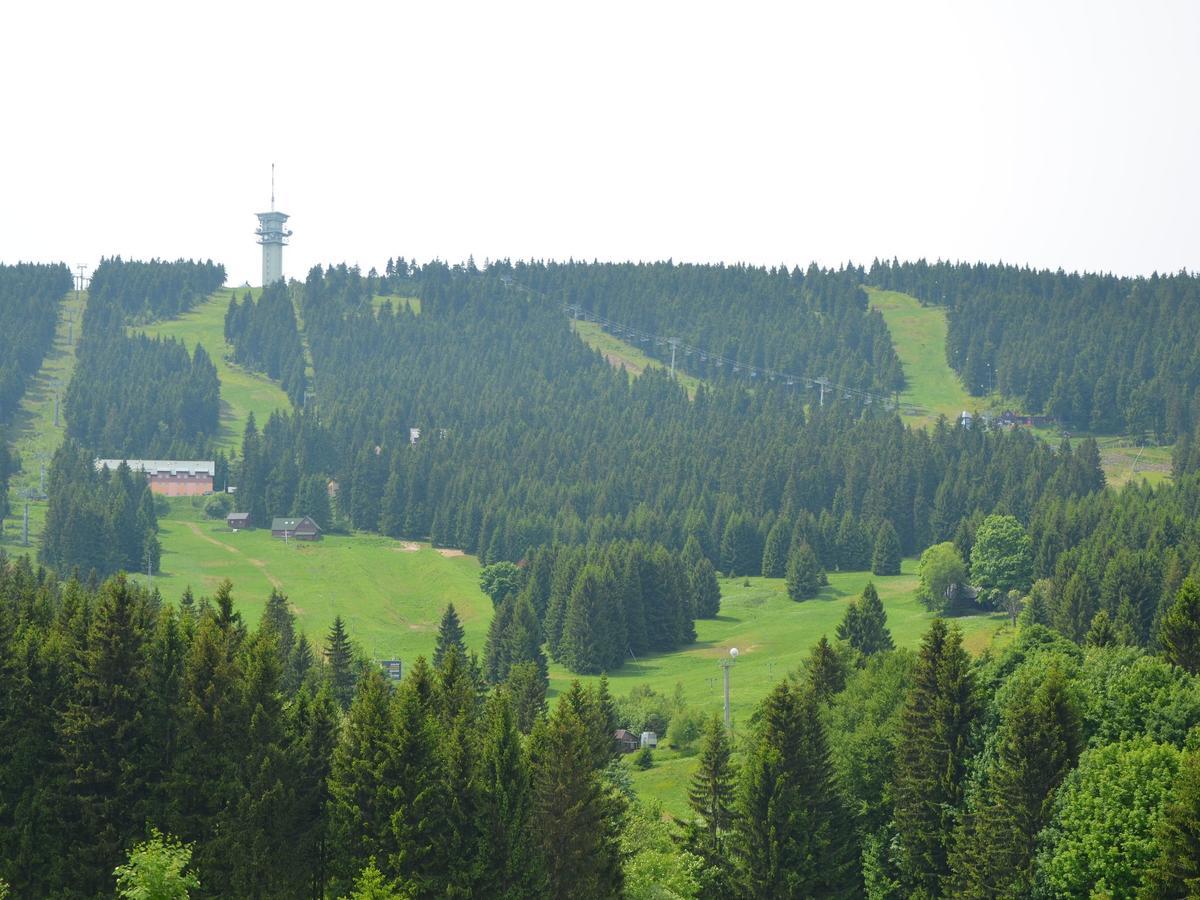 Nice Holiday Home In The Ore Mountains Only 500M From The Chairlift Лоучна-под-Клиновцем Экстерьер фото