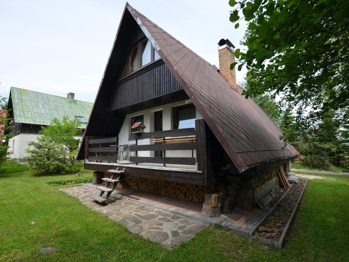 Nice Holiday Home In The Ore Mountains Only 500M From The Chairlift Лоучна-под-Клиновцем Экстерьер фото